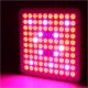 65W Full-Spectrum LED Grow Light - 5-Band Red/Blue/UV/IR/White for Indoor Plant Growth