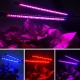 20W 5 Dimmable Levels Dual Heads Grow Light For Indoor Plants Flexible Desk Lamp