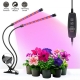 20W 5 Dimmable Levels Dual Heads Grow Light For Indoor Plants Flexible Desk Lamp