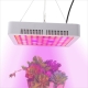 65W Full-Spectrum LED Grow Light - 5-Band Red/Blue/UV/IR/White for Indoor Plant Growth