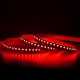 RGBW LED Strip Lights - Dual Row 24V LED Tape Light w/ White and Multicolor LEDs - 442 Lumens/ft.