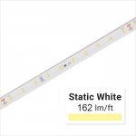 36V White LED Strip Light - High CRI - HighLight Series Tape Light - IP67 - 5m / 30m