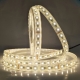 RGBW LED Strip Light - 4-in-1 Chip 5050 Color-Changing LED Tape Light - 12V/24V - IP20 - 5m