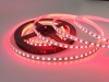 5m RGB High Density LED Strip Light - Color-Changing LED Tape Light - 12V/24V - IP20