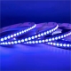 5m RGB Dot COB LED Strip Light - Color-Changing COB Series LED Tape Light - 24V - IP20